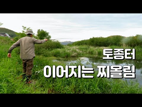 붕어낚시, 토종터 끝없이 이어지는 찌올림, 여주 아름다운 수로 보