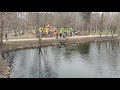 Уточки в парке Победа - тестовое видео Vivo Y19