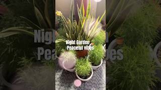 #nightgarden#plantsofindia #plants