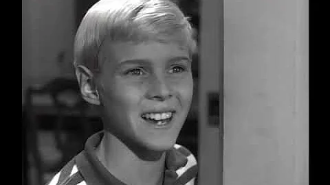 Dennis The Menace - S04E12 - Jane Butterfield Says