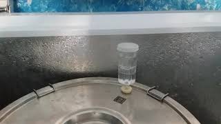 Tiny co2 bubbles