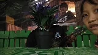 Havana Bakery cover Martabak Serabi