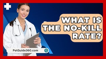 What Is The No-kill Rate? - PetGuide360.com