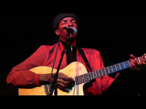 Peter Collins - "Toast" and "Forever Young" (Live in Boston)