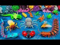 [🐍Toy Asmr🐍] Zuru Robo Alive: A Box Full of Reptile and Insect Toys | Satisfying Unboxing ASMR