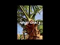 وادي درعة يستقبل 35 مليون متر مكعب من المياه وادي درعة يستقبل 35 مليون متر مكعب من المياه