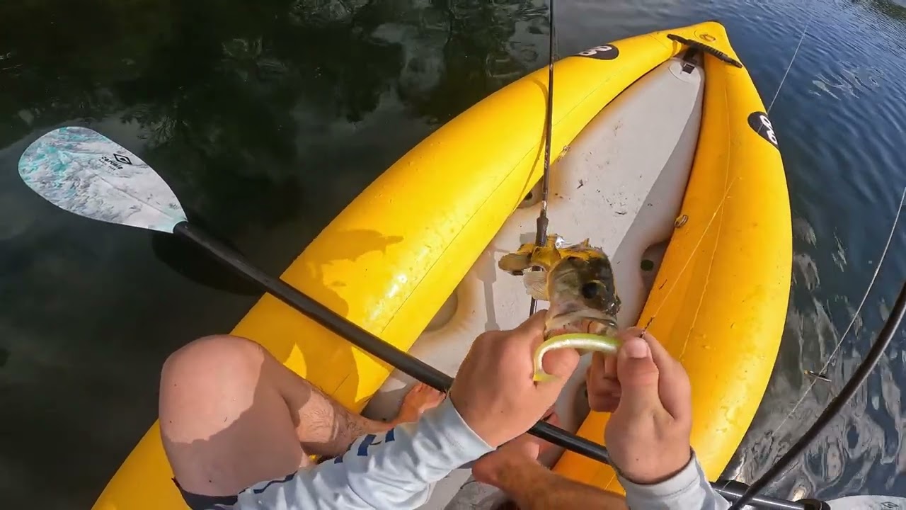 bass fishing crazy action