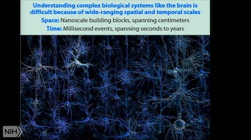 Tools for analyzing and repairing complex biological systems