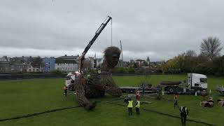 CON MÓR, The Giant arriving at Fisheries Field, Galway, 27th October 2022