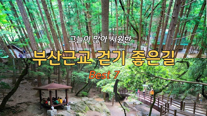 Top 7 places to visit near Busan for a walk in the summer/Healing path with shade from the forest...
