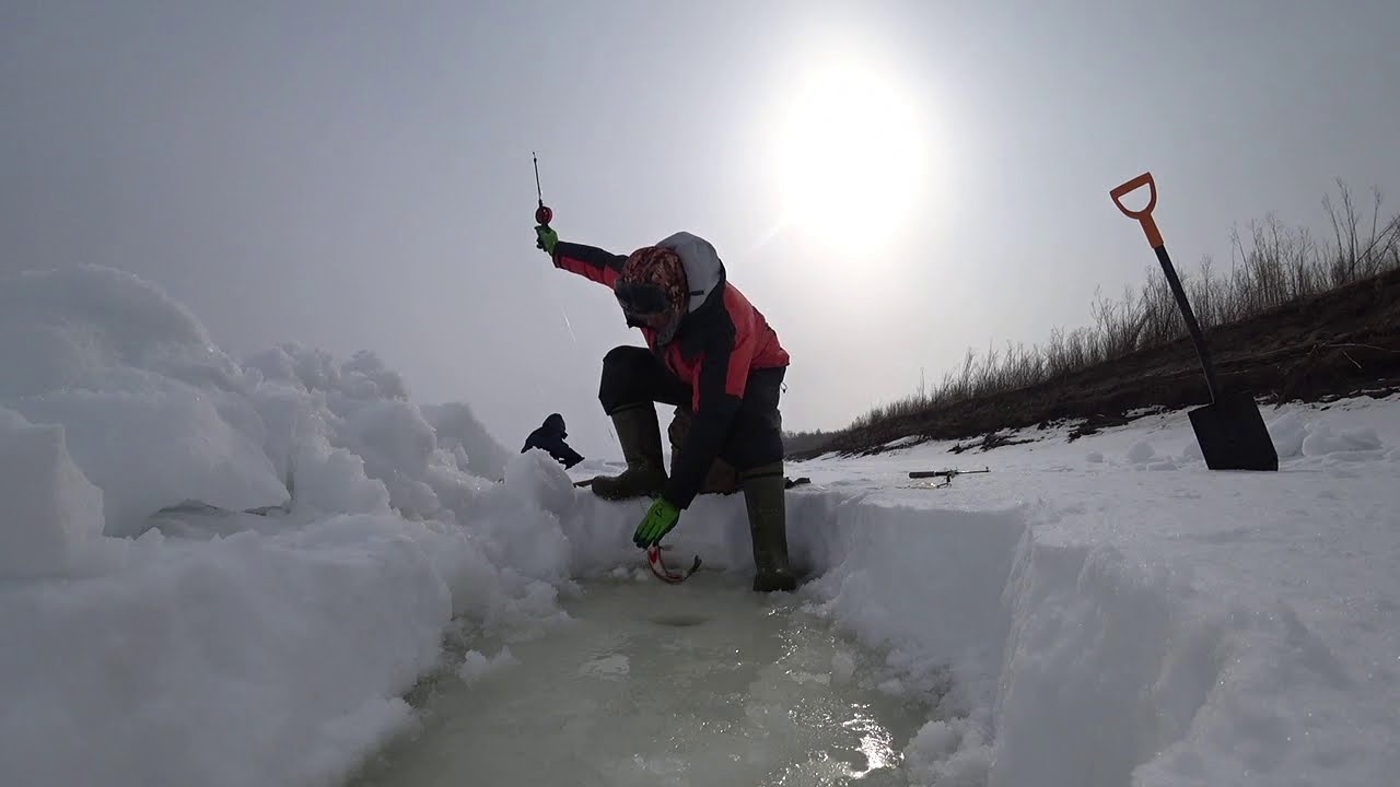 Клевая рыбалка с Титом Владимировичем! Yakutia