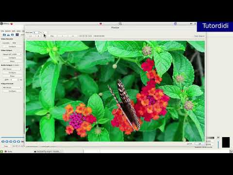 How To Add Pixelize Effect To Video In Avidemux? - Avidemux Video Editor Tutorial #14