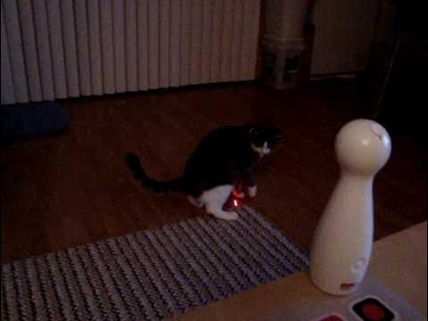 Juguete con Luz Laser para Gato PetSafe Frolicat Bolt - Promart