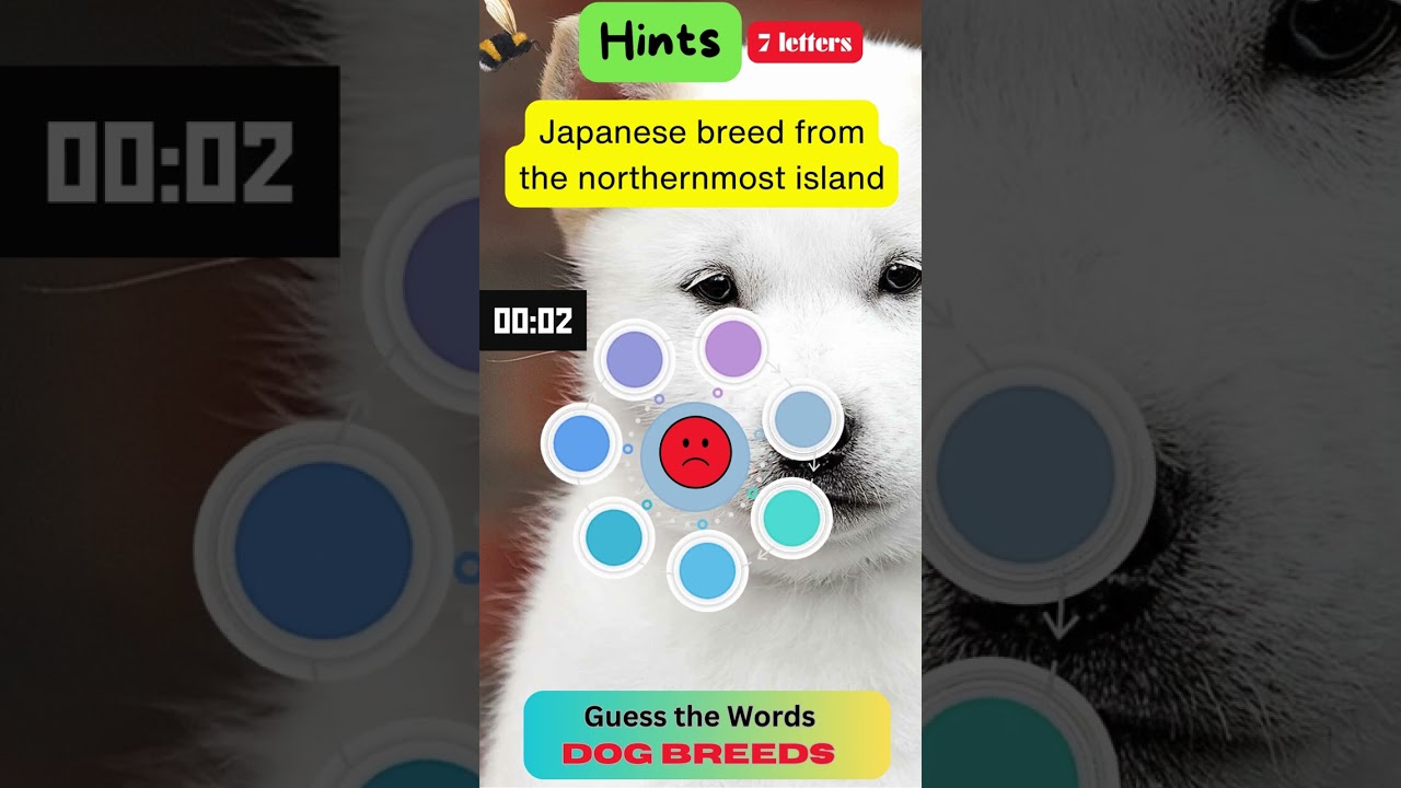 Learn About This Unique Japanese Breed 