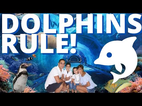 Kyan Goes to Dubai Dolphinarium
