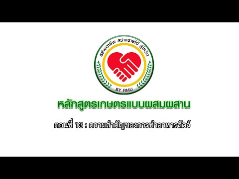 ตอนที่ 13 ความสำคัญของการทำอาหารสัตว์