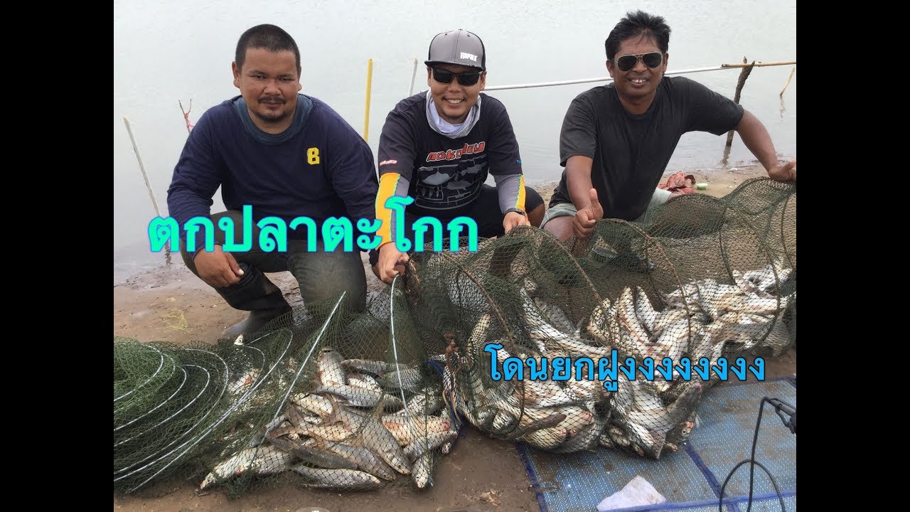 โก๋เจ้าพระยา #ตกปลาหมายแม่น้ำใต้บาดาลเขื่อนป่าสัก (ไม่ใช่จะมาตกกันง่ายๆ )