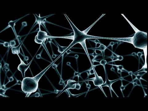 Nine Eleven - Face the Triangle