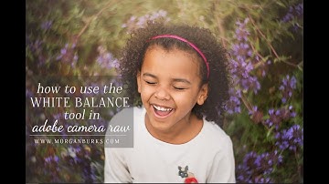 How to Use the White Balance Tool in Adobe Camera RAW