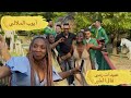                                                             حيد حيد مفيك خير  نجومي