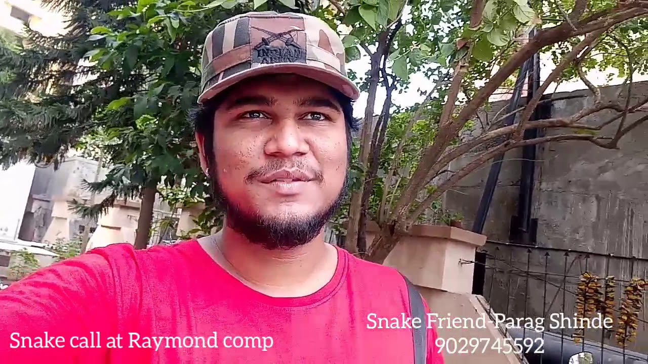 rescue thai cave Parag Shinde Rescued Nonvenomous Striped Keelback water snake Raymond comp thane west