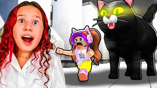 Roblox - ESCAPE DO GATO - (Escape The Cat) com a Bela Bagunça