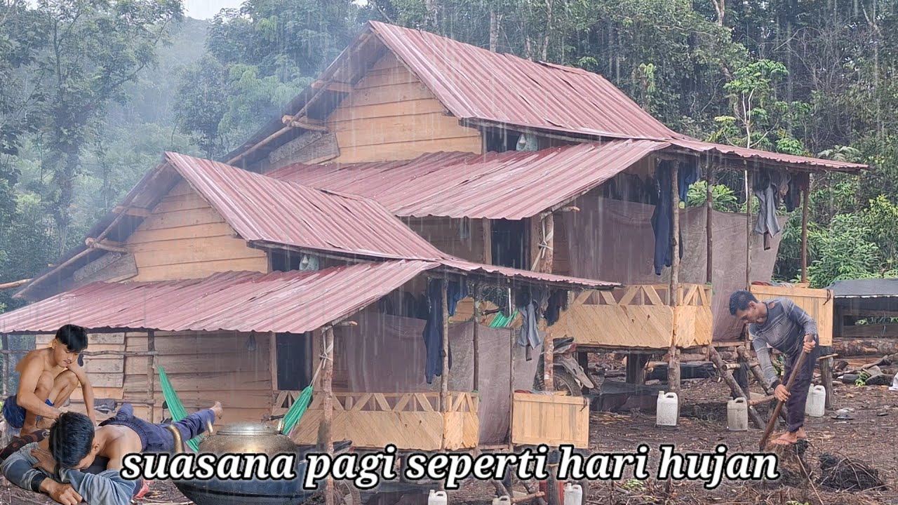 Suasana pagi ini seperti hari hujan pergi ke kebun lama 