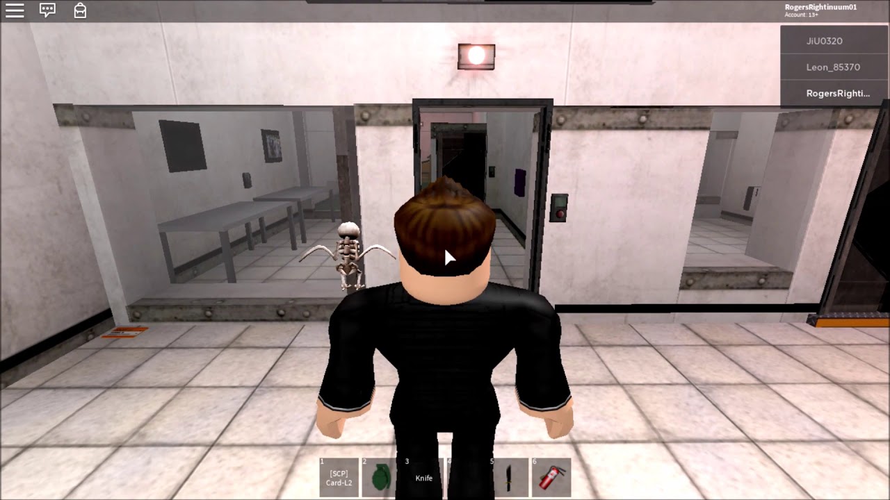 Scp Raccoon ROBLOX SCPverse: SCP - A Common Raccoon - YouTube