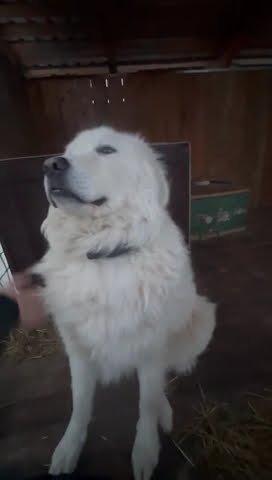 youtube.com