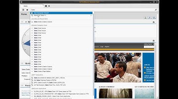 SAP NetWeaver Business Client 4.0 in 5 Minutes