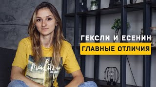 Есенин и Гексли. Главные отличия. Cоционика