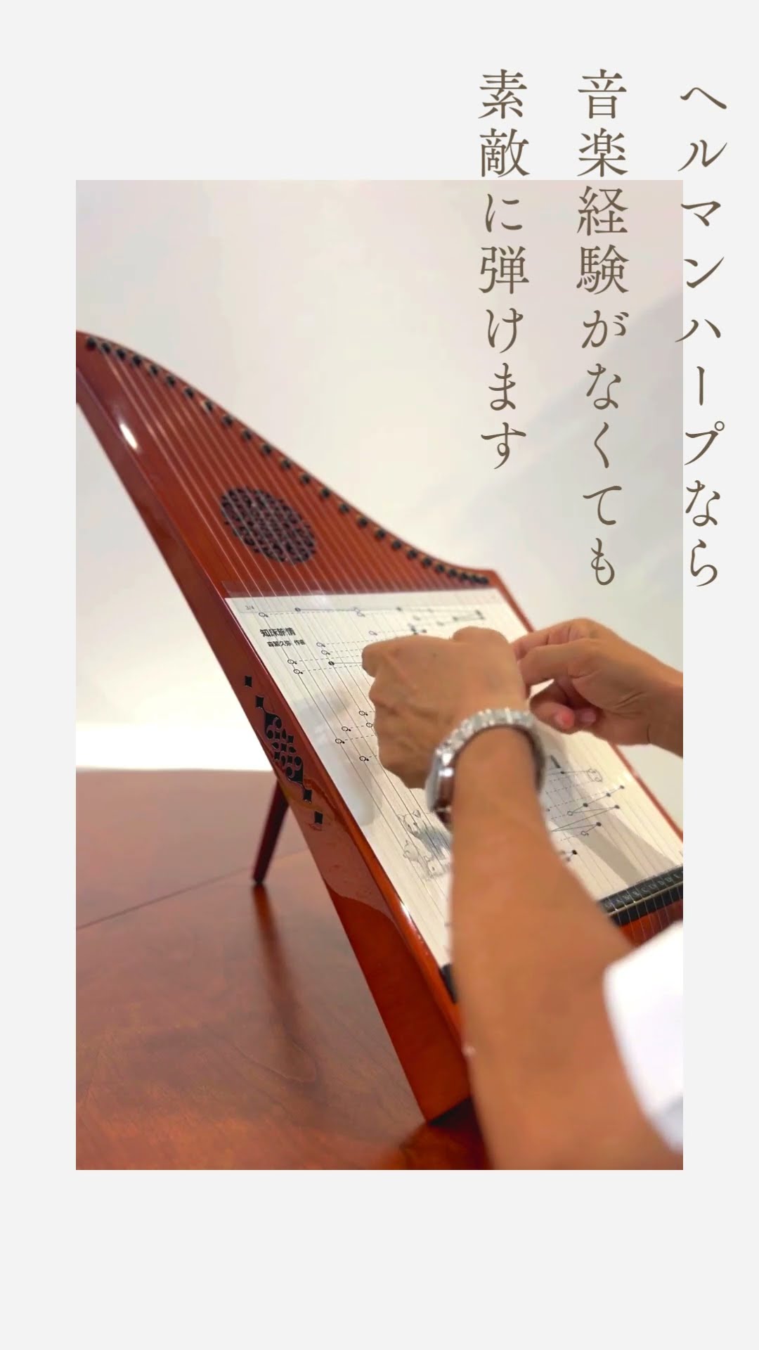 Hermann Veeh ヘルマンハープ エーデルワイス クリア 木製 白木 25弦 M