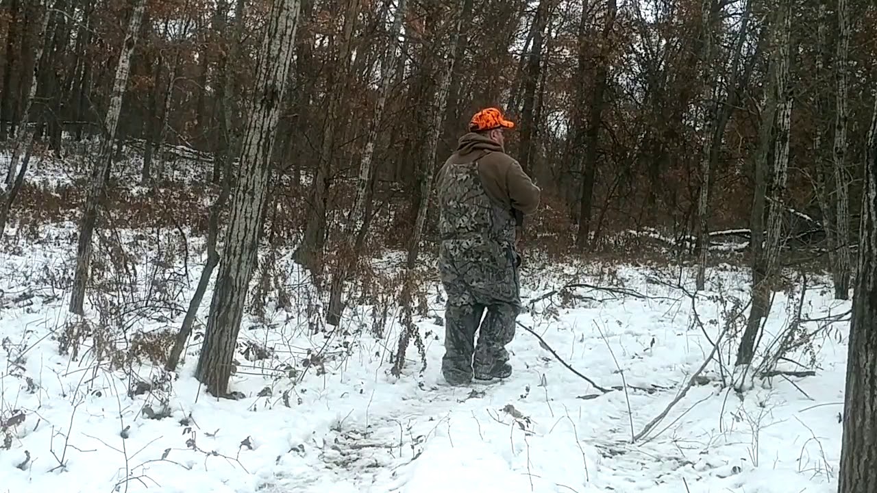 Mi. Deer Hunting 2018 YouTube