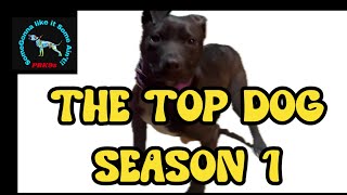 THE TOP DOG THE complete Audio Book #dog #workingdog #apbtlove