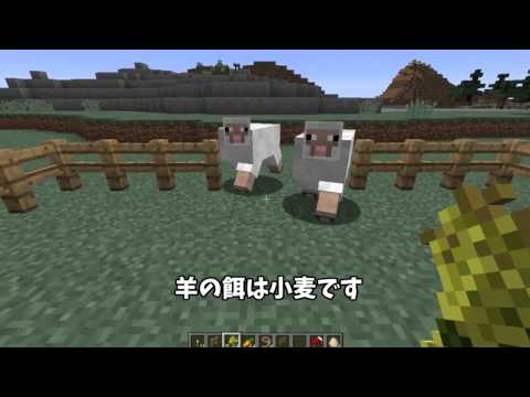 マイクラ 動物の誘導 と 繁殖方法 マインクラフト Youtube