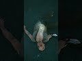 Cyberpunk 2077 - File and Body | #blackwallz em #Twitch