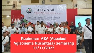 Cuplikan Rapimnas ASA (Asosiasi Aglaonema Nusantara) di Semarang  aglaonema aglonema