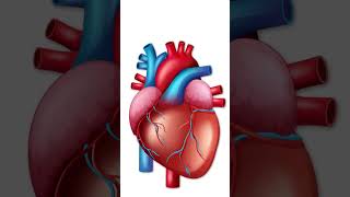 🧊 Algor Mortis: The Body’s Silent Clock After Death ! #death #forensics #science #didyouknow #upsc