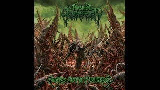 TERMINUS EPISODE 81.5 - INTESTINAL ENGORGEMENT, SCUMTOMY, BAALSEBUB, NAEGLERIA FOWLERI