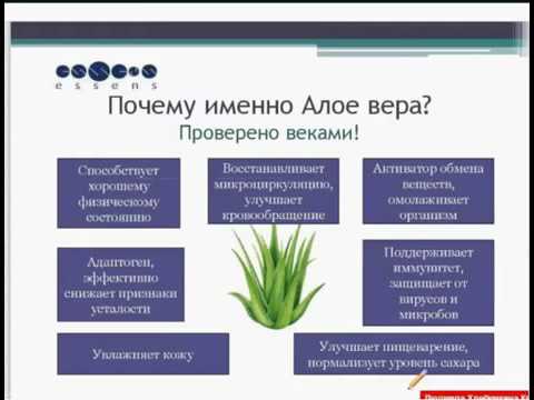 ч 3  Чехия  Продукты для здоровья  Е Гапченко 12 05 2016г