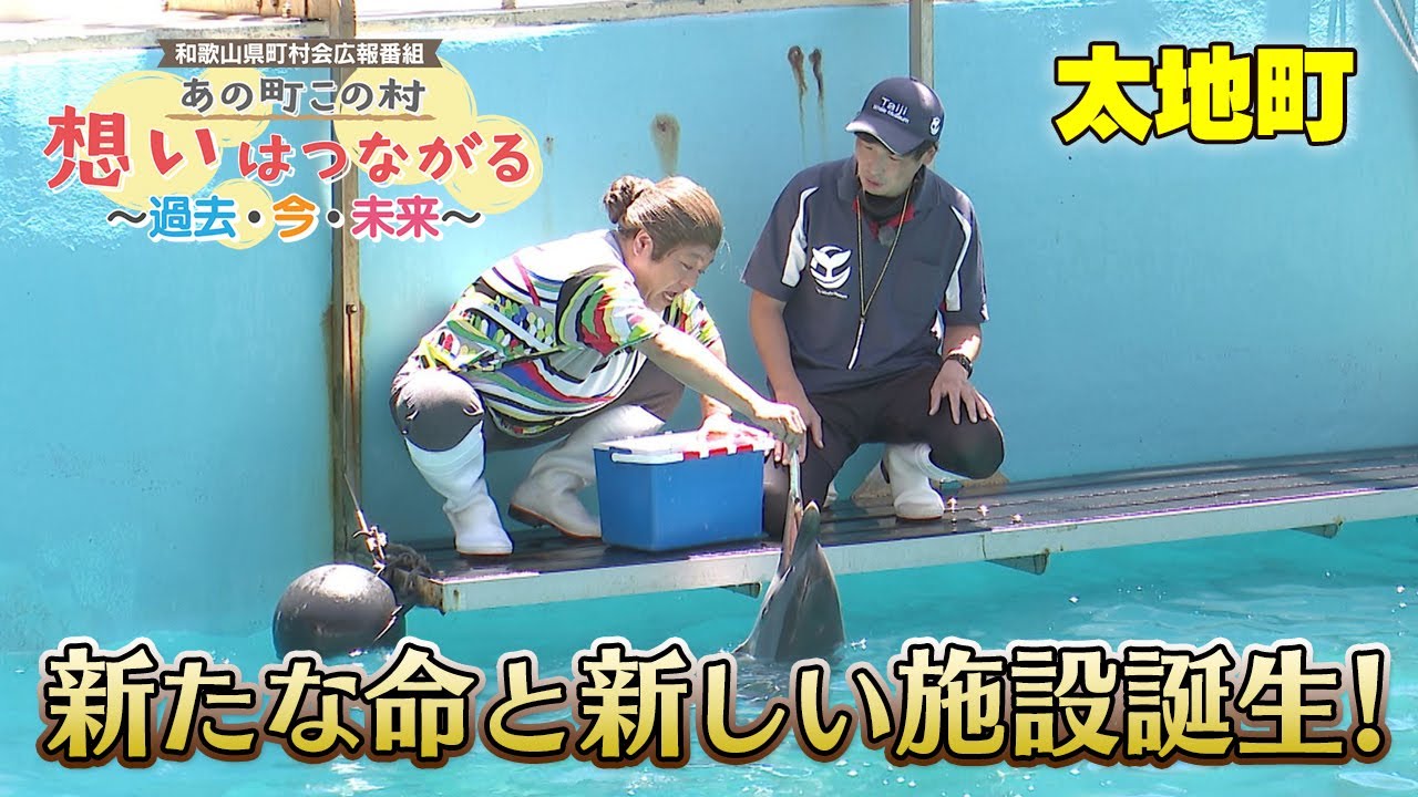 あの町この村 想いはつながる〜過去・今・未来〜「太地町」 YouTube