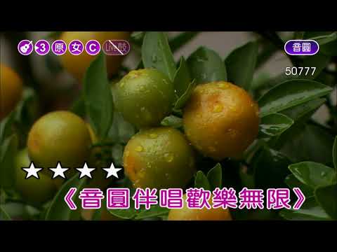 DARLING~范曉萱~女原C調~伴奏~導唱丙