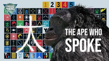 Kanzi - The smartest ape that ever lived