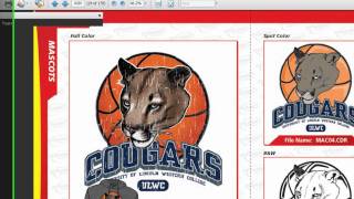 Dynamic Designs Overview