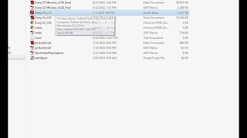 Publishing your flash project to a projector