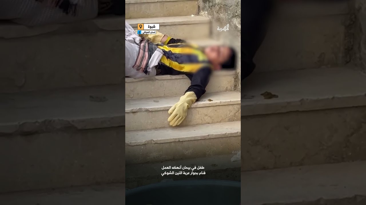 طفل في شبوة ينام بجوار بضاعته بعدما أنهكه بيع التين الشوكي