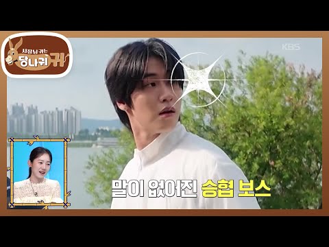 러닝 도중 도망간 집돌이 차훈💧 15년을 함께한 가족 같은 엔플라잉💖 [사장님 귀는 당나귀 귀/Boss in the Mirror] | KBS 261004 방송