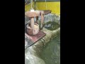 water powered pounder#live