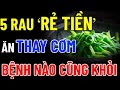 BÁC SĨ MÁCH BẠN &quot;BUỔI TỐI Ăn 5 Rau RẺ TIỀN NÀY Thay Cơm&quot; SẠCH GAN KHỎE THẬN, Bệnh Nào Cũng Khỏi!