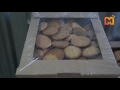Кузбасские заключённые накормят печеньем